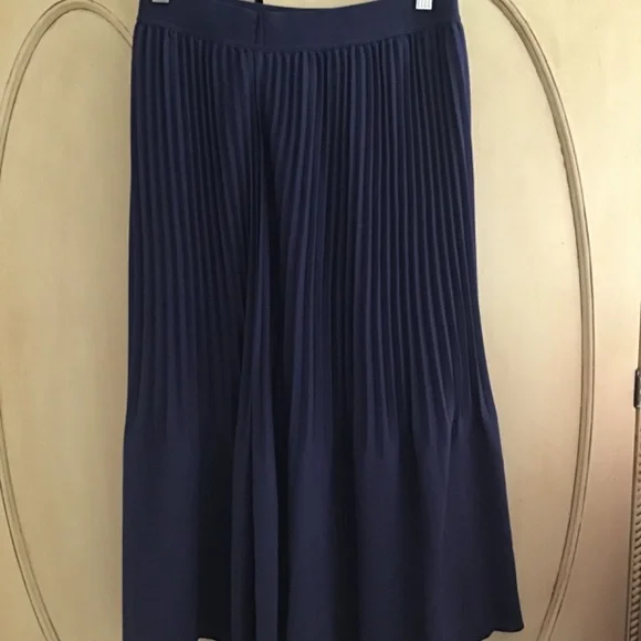 NWOT J Crew Pleated Skirt Fully Lined - Picture 3 of 4